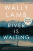 River Is Waiting (Oprah's Book Club)