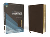 NIV Foundation Study Bible