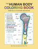 Human Body Coloring Book: From Cells To Systems And Beyond