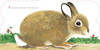 Richard Scarry's Bunnies