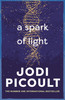 Spark of Light