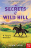 Pony's Promise (The Secrets of Wild Hill)