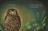 Te Ngahere i te Pō: The forest at night