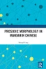 Prosodic Morphology in Mandarin Chinese