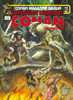 Savage Sword Of Conan: The Original Comics Omnibus Vol.6