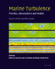Marine Turbulence