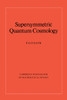 Supersymmetric Quantum Cosmology