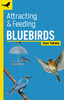 Attracting & Feeding Bluebirds