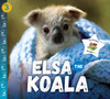 Elsa the Koala