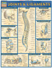 Joints & Ligaments