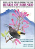 Phillipps' Field Guide to the Birds of Borneo, Revised