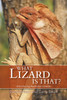 What Lizard Is That?