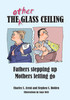 The Other Glass Ceiling