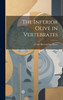 The Inferior Olive in Vertebrates