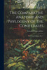 The Comparative Anatomy And Phylogeny Of The Coniferales