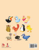 Animals That Fly