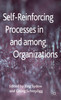 Self-Reinforcing Processes in and Among Organizations