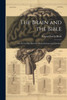 The Brain and the Bible
