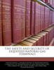 THE SAFETY AND SECURITY OF LIQUEFIED NATURAL GAS TERMINALS