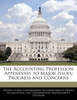 The Accounting Profession