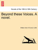 Beyond These Voices. a Novel.