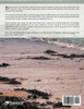Tears in the Sand
