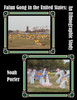 Falun Gong in the United States