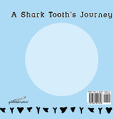 A Shark Tooth's Journey