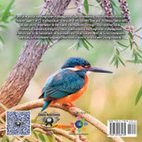 KIDS ON EARTH Wildlife Adventures - Explore The World Kingfisher - Madagascar