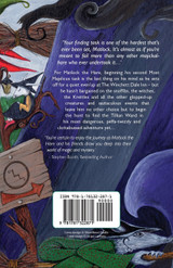 The Puzzle of the Tillian Wand