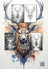 Deer Coloring Book for Adults
