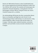 Effi Briest (Großdruck)