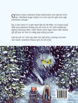 The Healer Cat (Oriya)