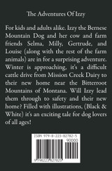 Izzy the Bernese Mountain Dog