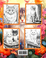 Cats Coloring Book for Adults Cats Coloring Book for Adults