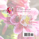 Journal of photography