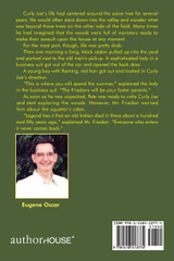 The Adventures of Curly Joe and Pete