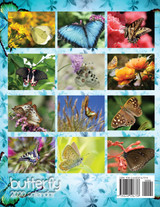 Butterfly 2020 Calendar (UK Edition) Butterfly 2020 Calendar (UK Edition)