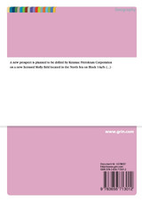 Well Planning at Molly Field