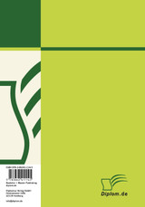 Die Krise der Wirtschaftsprüfung