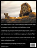 African Safari Wildlife Photography African Safari Wildlife Photography