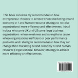 Organizational Behavioral Economy Strategies