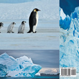 Ice Age Facts and Information - Environment Books | Children's Environment Books