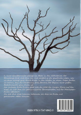 Das Reich der Pendragon