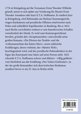 Lebensansichten des Katers Murr (Großdruck)