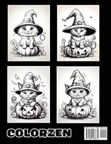 Whisker Wonders