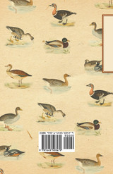 Wild Ducks - How to Rear and Shoot Them