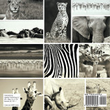 Wildlife Conservation As Done By Experts - Animal Book Age 10 | Children's Animal Books Wildlife Conservation As Done By Experts - Animal Book Age 10 | Children's Animal Books