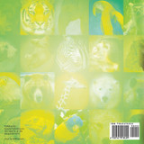 How To Protect Endangered Animals - Animal Book Age 10 | Children's Animal Books How To Protect Endangered Animals - Animal Book Age 10 | Children's Animal Books