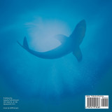 Swim Away! Swim Away! The Great White Shark Is After Me! Animal Book 4-6 | Children's Animal Books